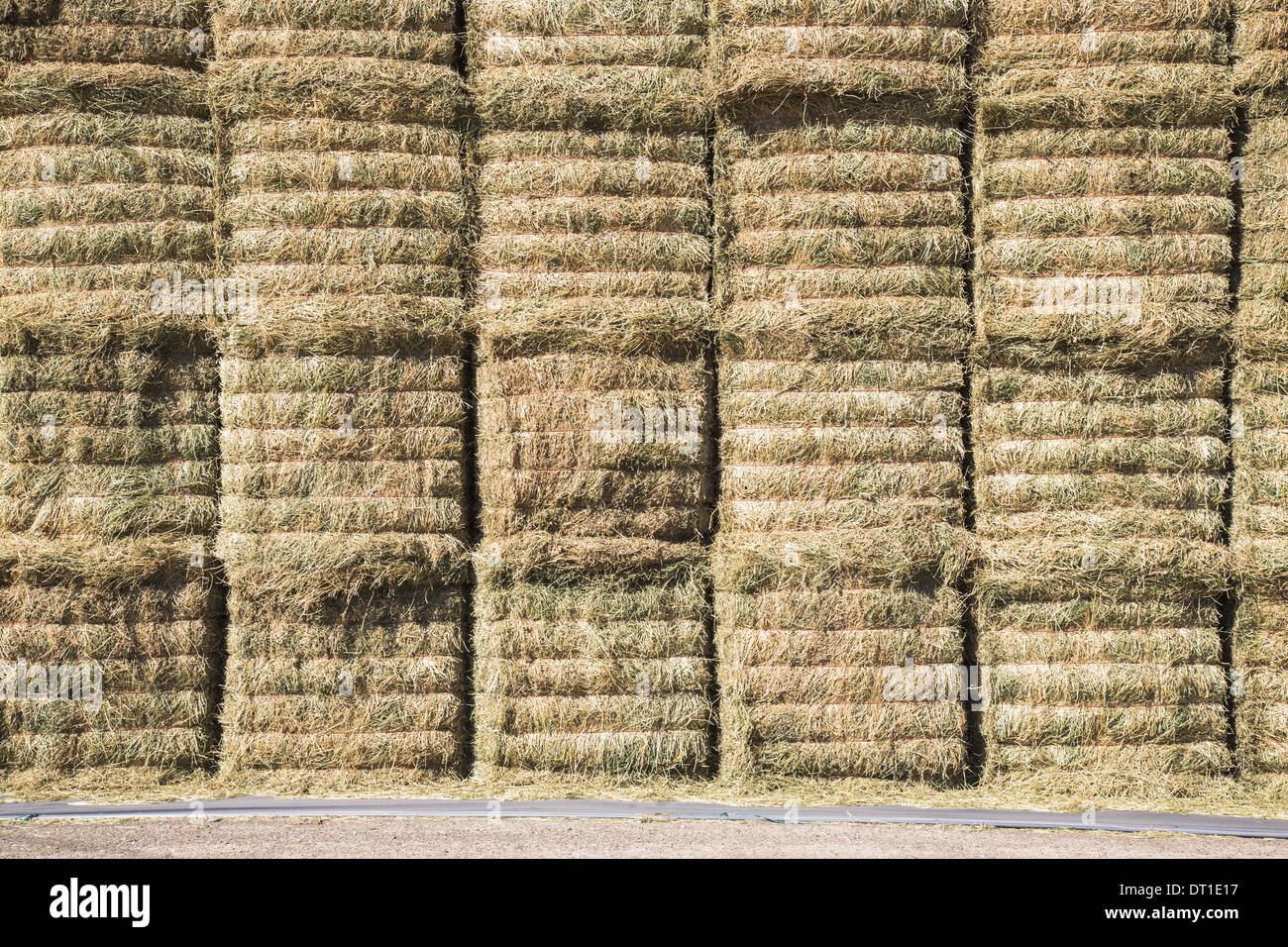 Washington State USA hay bales stored in layers to keep fodder dry