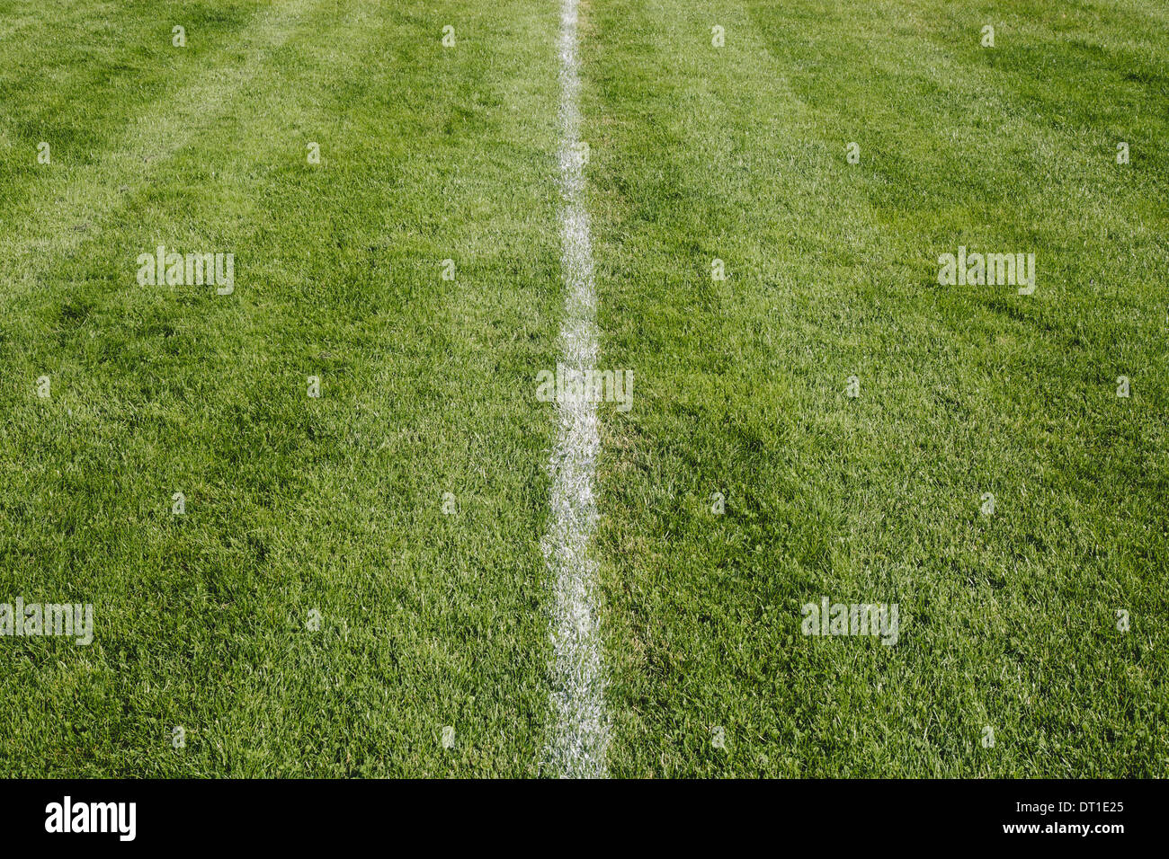 Washington State USA White centre line on cut grass sports surface Stock Photo
