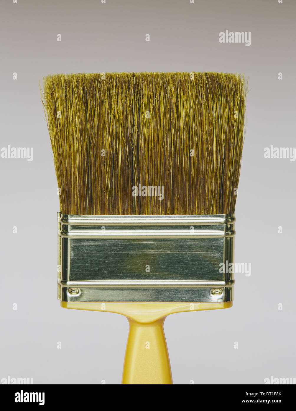 bristle paintbrush with yellow handle Stock Photo