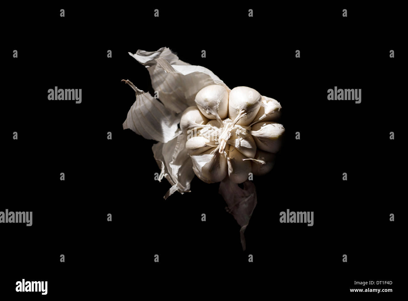Black garlic with peel hi-res stock photography and images - Alamy
