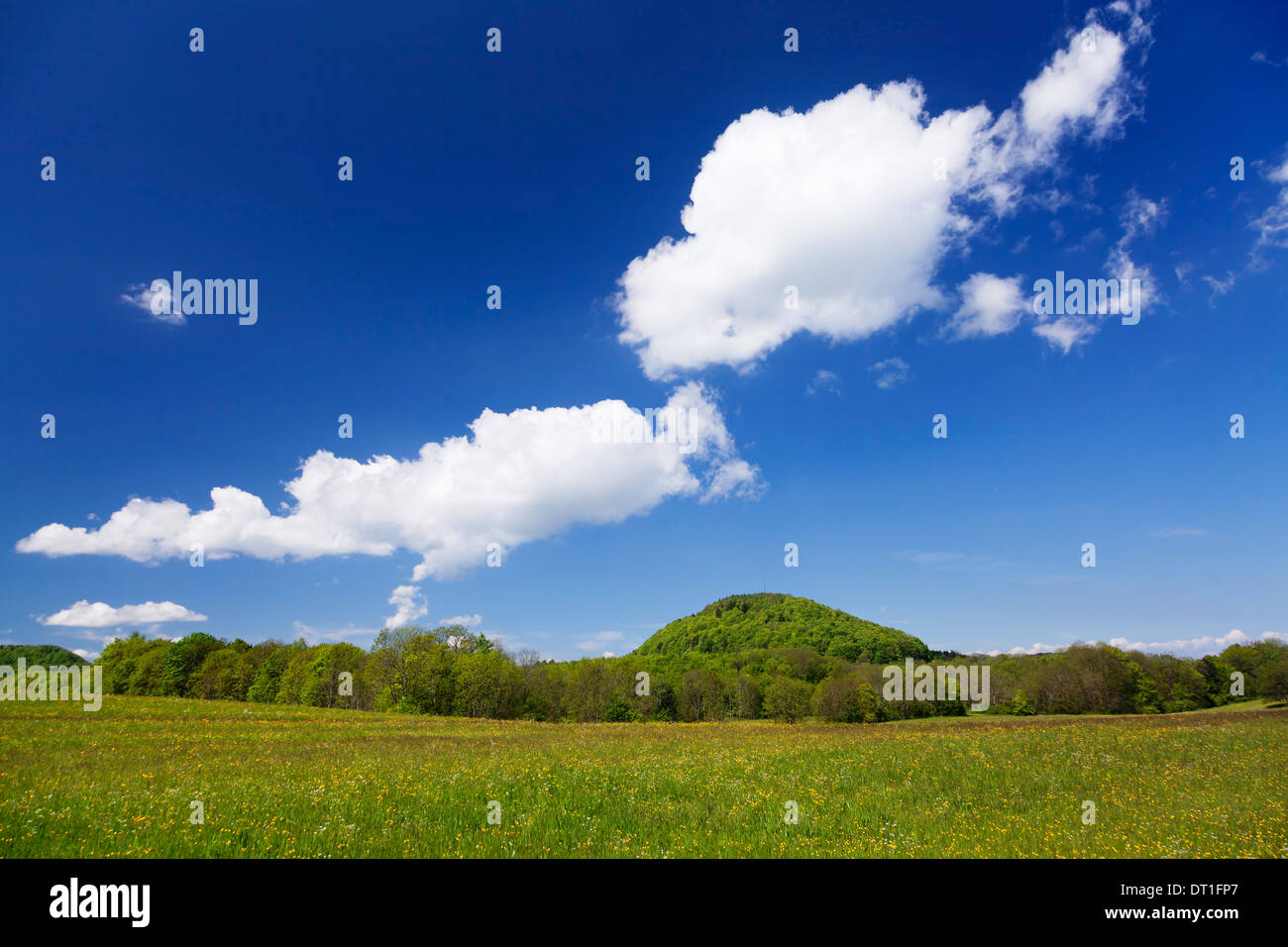 Rossberg mountain and meadow in spring, Swabian Alb, Baden Wurttemberg, Germany, Europe Stock Photo