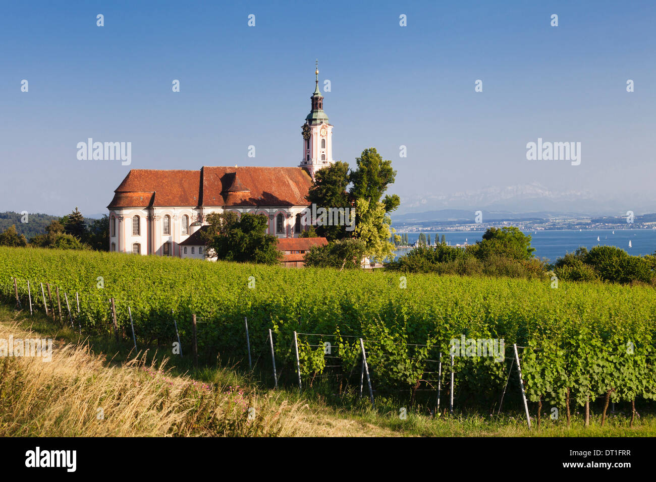 Pilgrimage church of Birnau Abbey and vineyards, Unteruhldingen, Lake Constance (Bodensee), Baden Wurttemberg, Germany, Europe Stock Photo