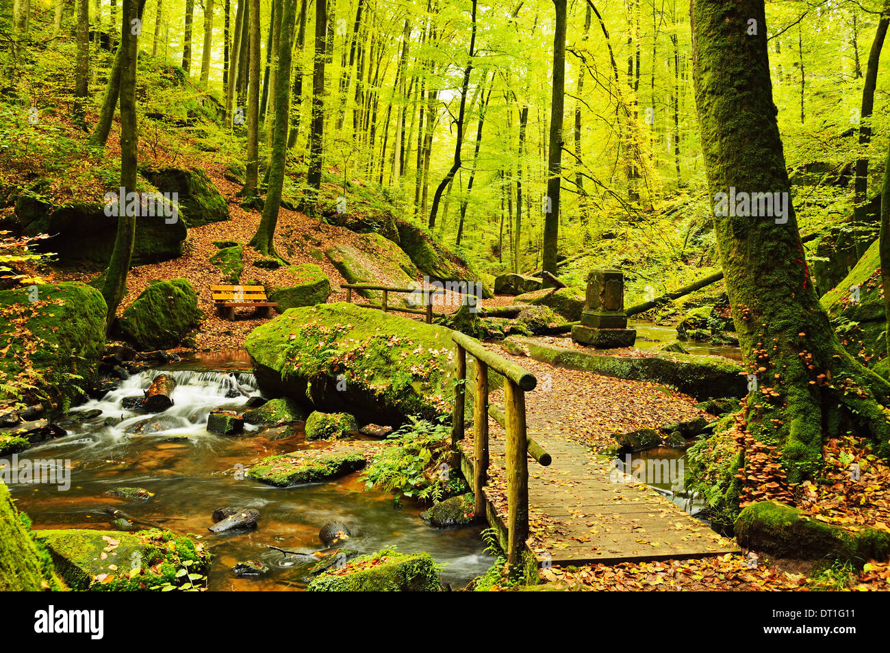 Karlstal gorge, near Trippstadt, Palatinate Forest, Rhineland ...