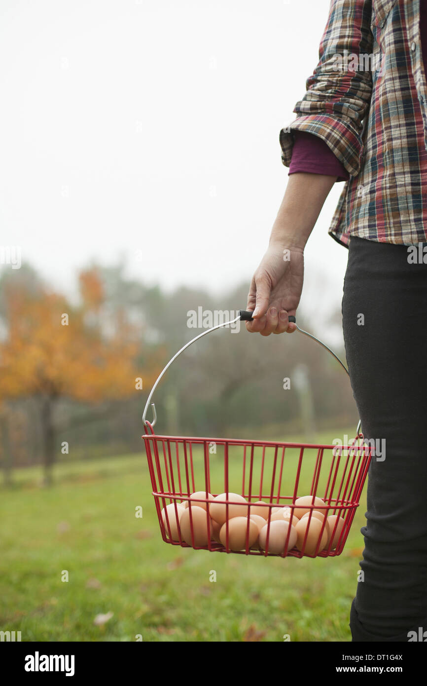 Organic farm A woman carrying a clutch of freshly laid hen's eggs in a