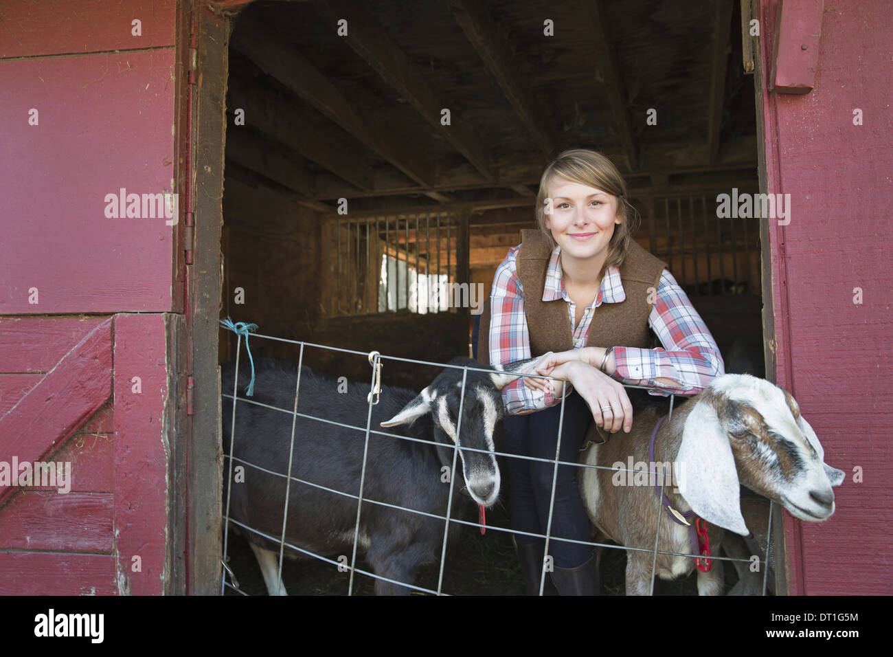 A goat farm A young girl leaning on the barrier of the goat shed with two animals peering out Stock Photo