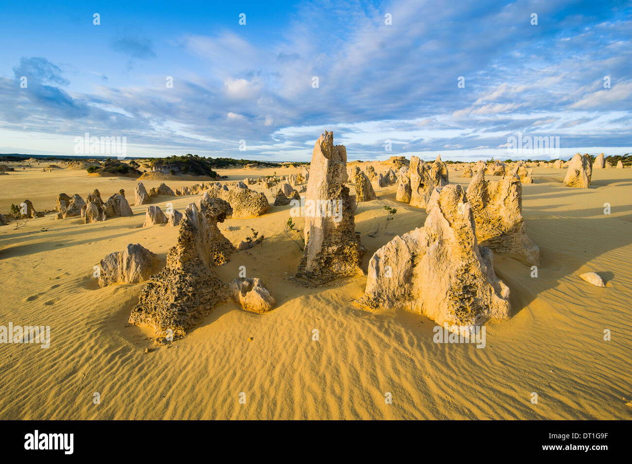 The Pinnacles limestone formations at sunset in Nambung National Park, Western Australia, Australia, Pacific Stock Photo
