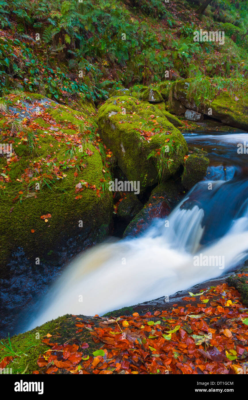 Llanrhaeadr ym Mochnant, Pistyll Rhaeadr Waterfalls, Berwyn Mountains