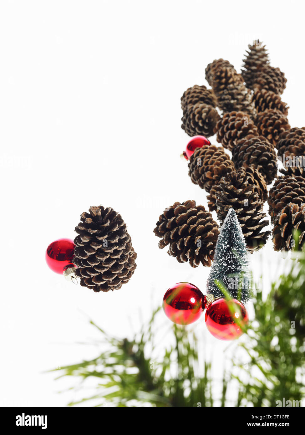 A pine tree branch with green needles Christmas decorations Pine cones and small red shiny