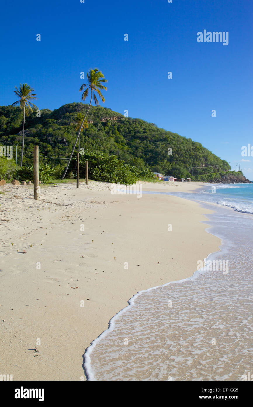 Darkwood Beach, St. Johns, Antigua, Leeward Islands, West Indies, Caribbean, Central America Stock Photo