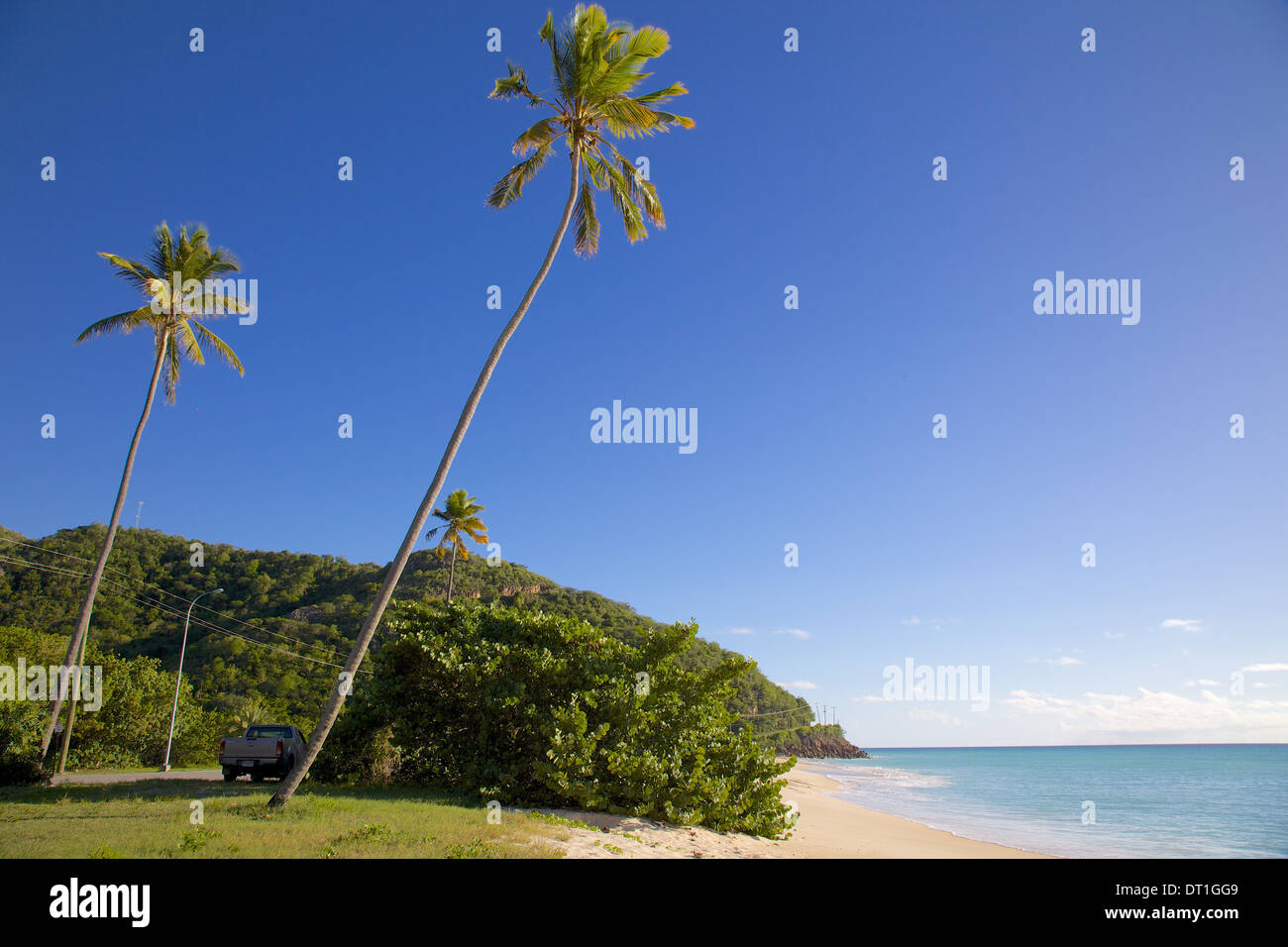 Darkwood Beach, St. Johns, Antigua, Leeward Islands, West Indies, Caribbean, Central America Stock Photo