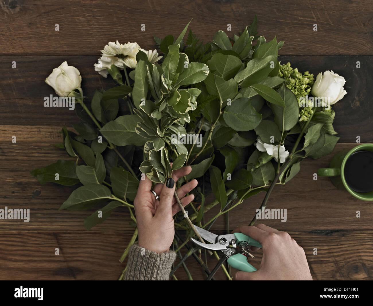 Cutting woody stem flower hires stock photography and images Alamy