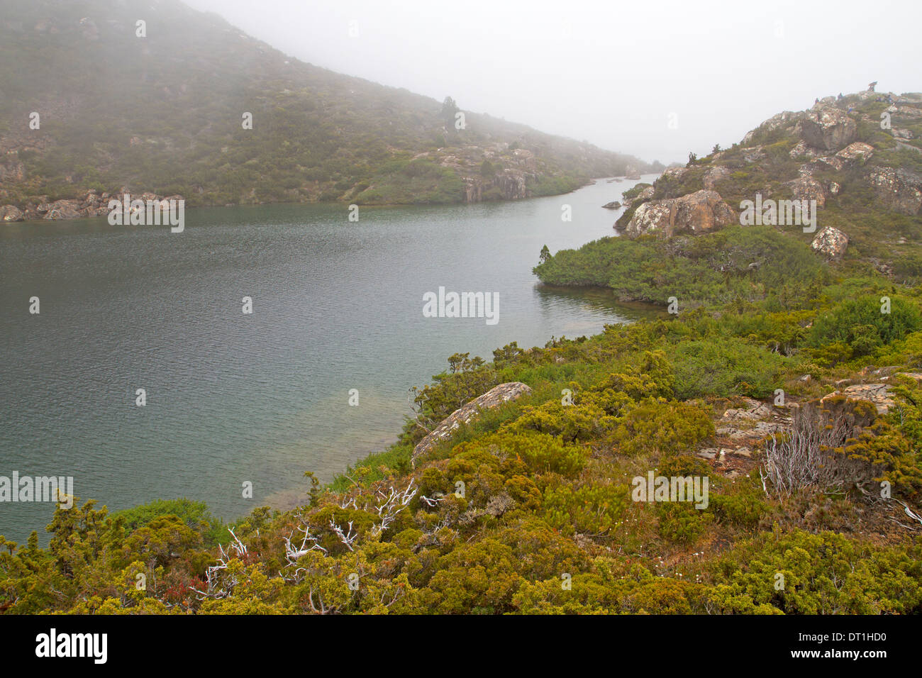 Mist acros the Tarn Shelf in Mt Field National Park Stock Photo