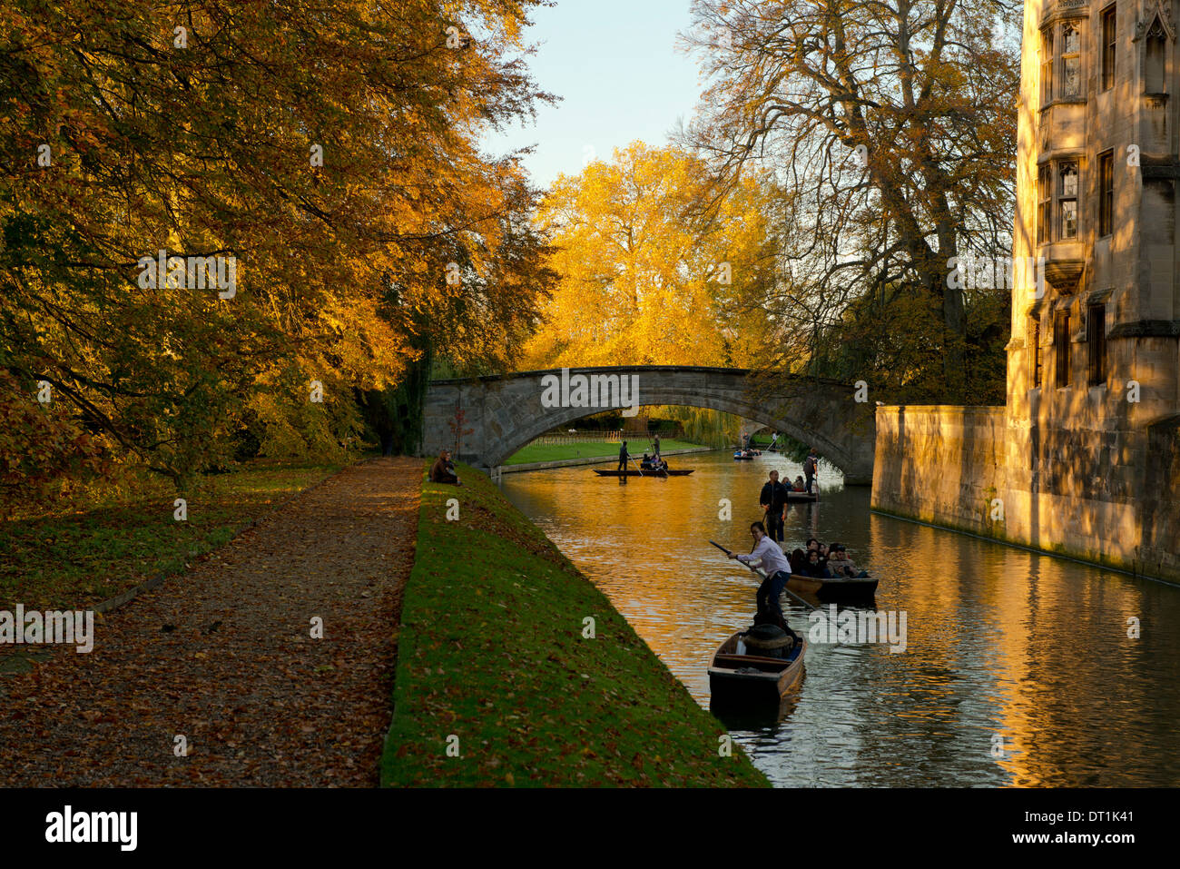 Punts on the Cam on an autumn day, Cambridge, Cambridgeshire, England, United Kingdom, Europe Stock Photo