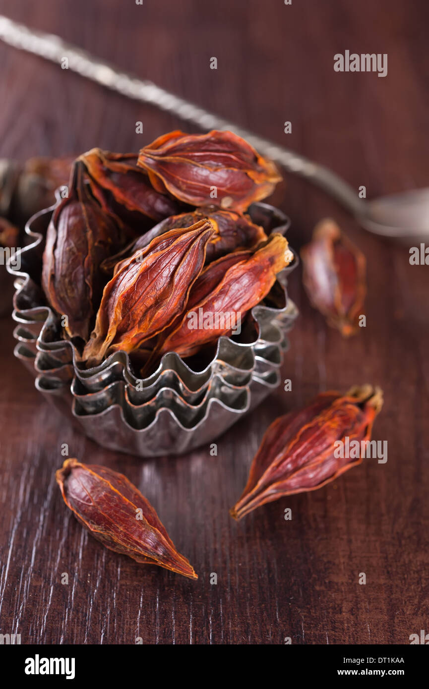 Fruit of wild gardenia jasmine or Gardenia jasminoides Stock Photo Alamy