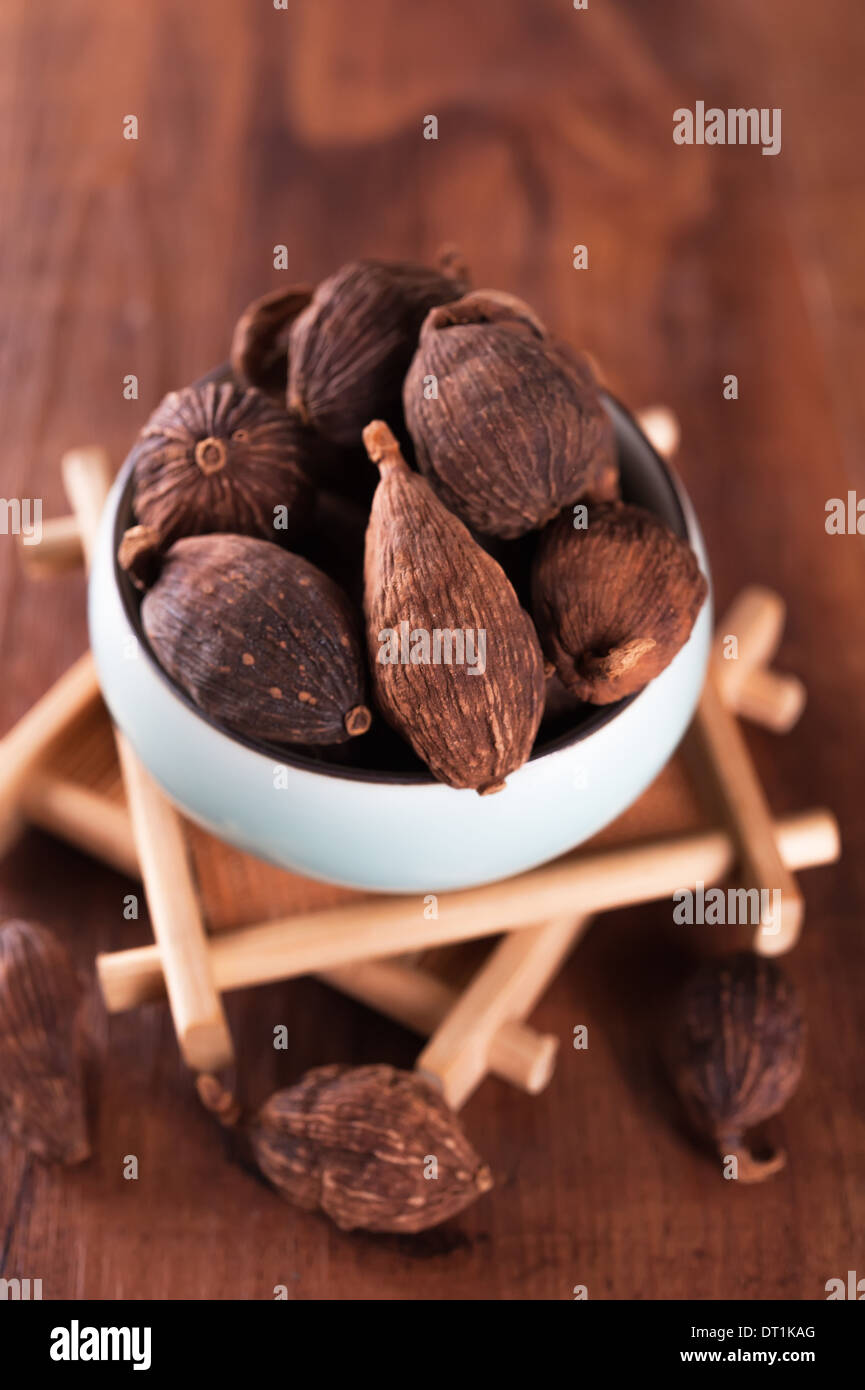 Chinese black cardamom Stock Photo Alamy