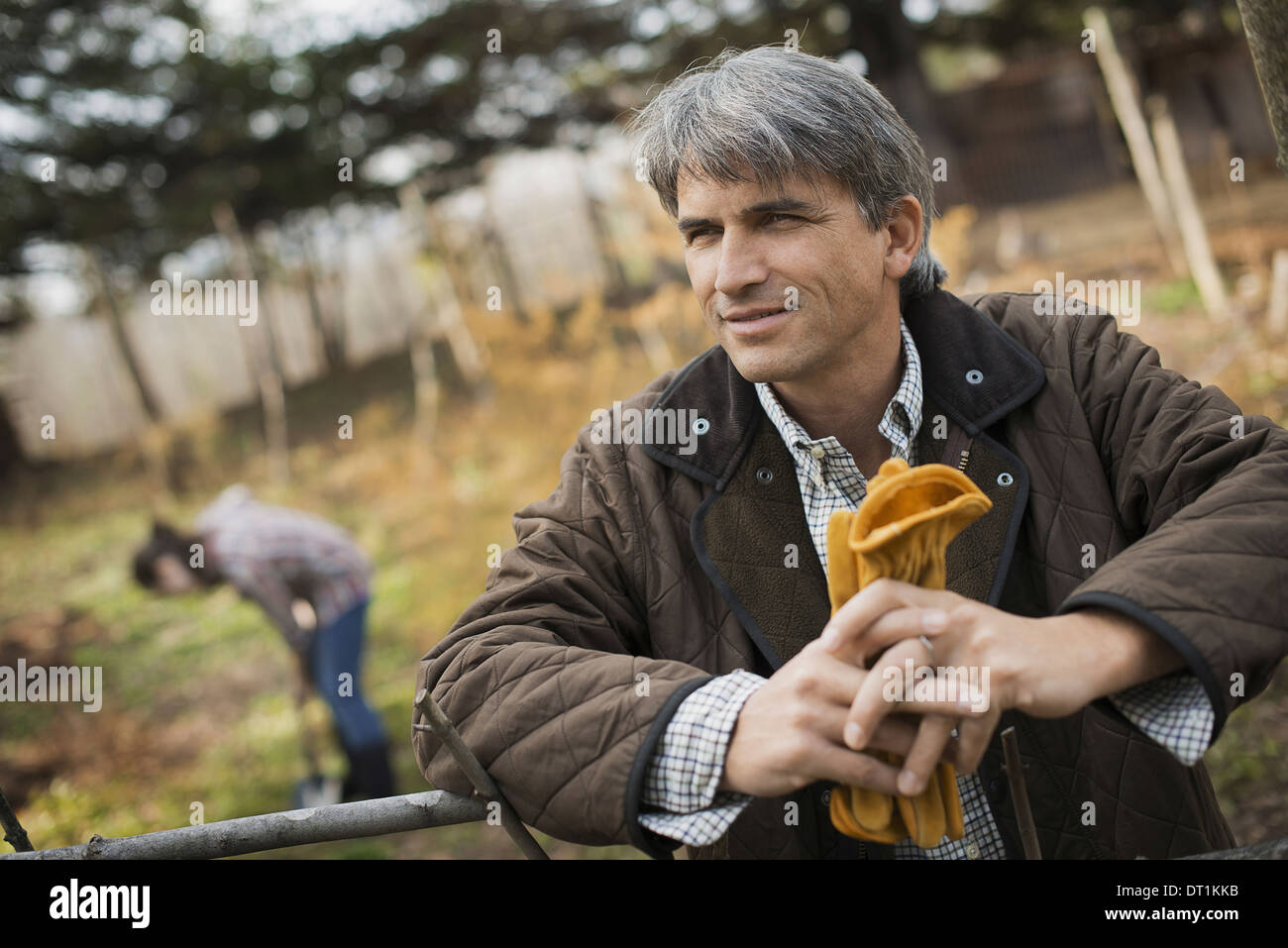 A man in a brown jacket holding leather work gloves on an organic farm A person digging in the ground with a spade Stock Photo