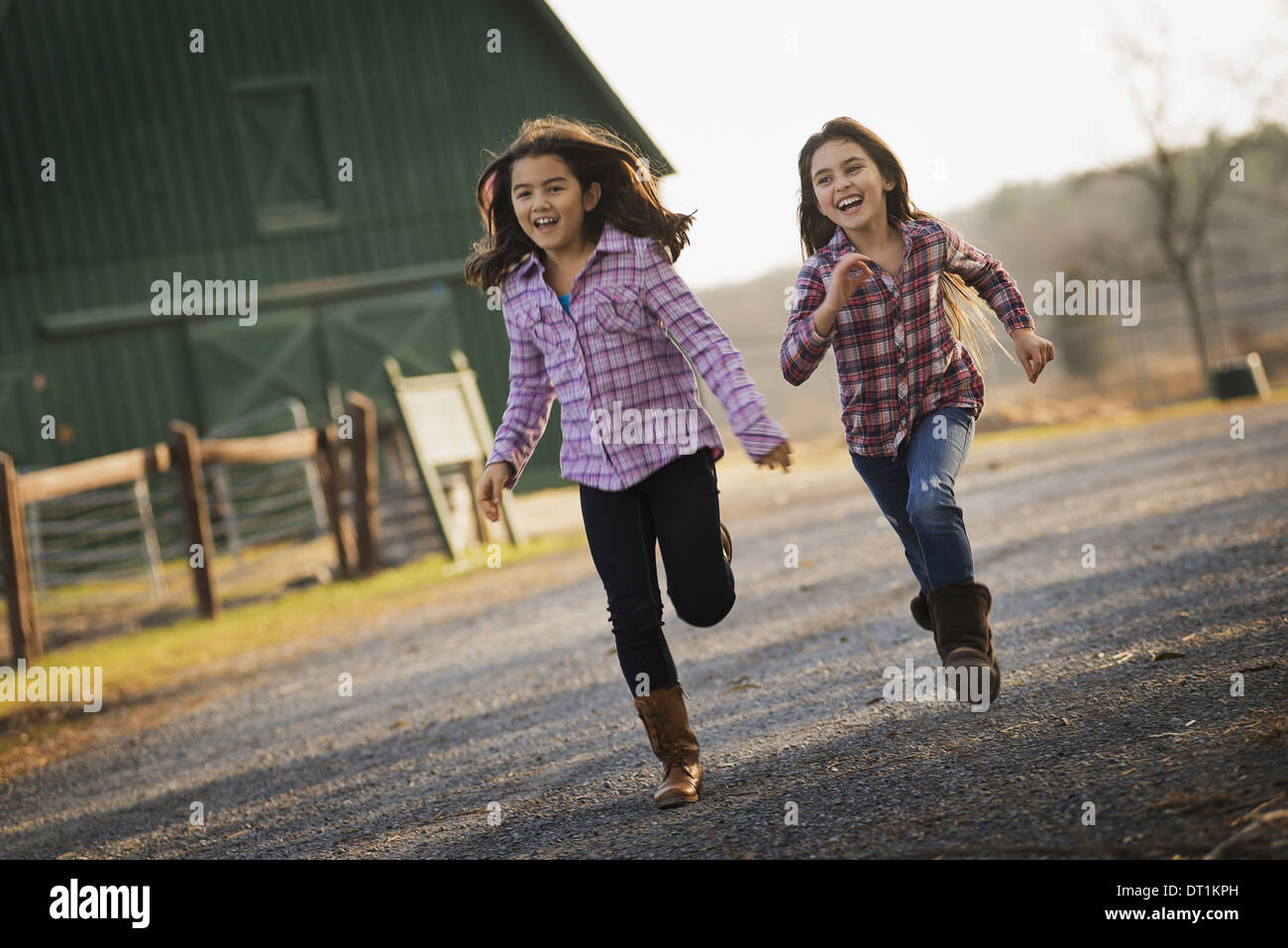 Two children running along a road by a farm building on an organic farm Stock Photo