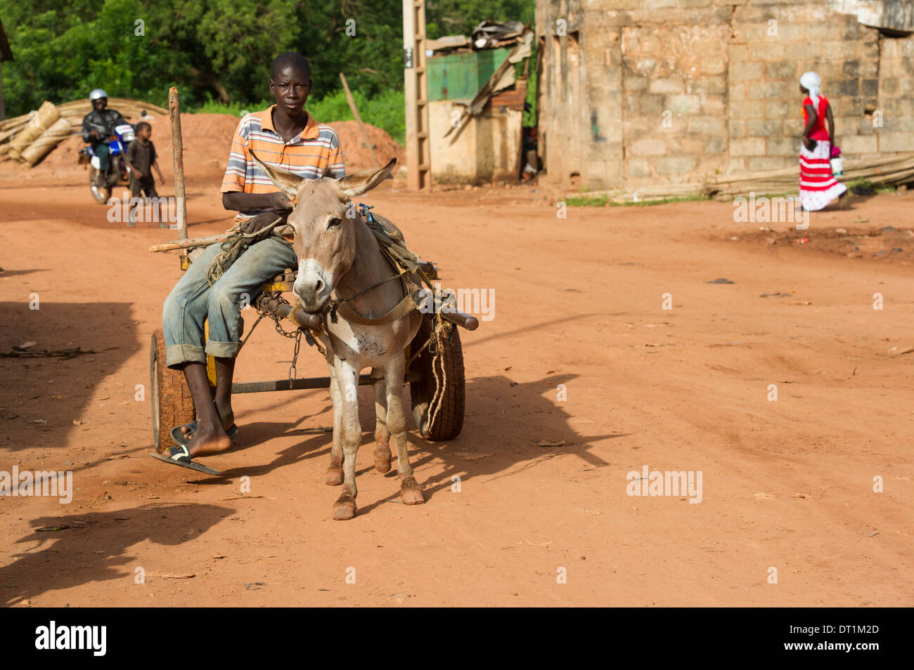 Donkey cart, Basse Santa Su, the Gambia Stock Photo