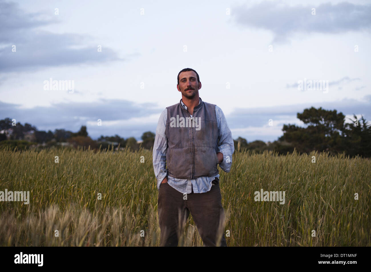 A man standing by a field of growing cereal crop at the social care and work project the Homeless Garden Project in Santa Cruz Stock Photo