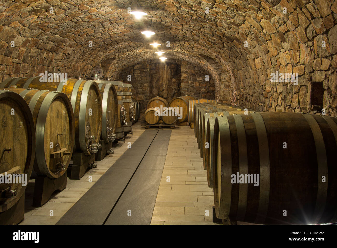 Wine cellar and barrels Stock Photo