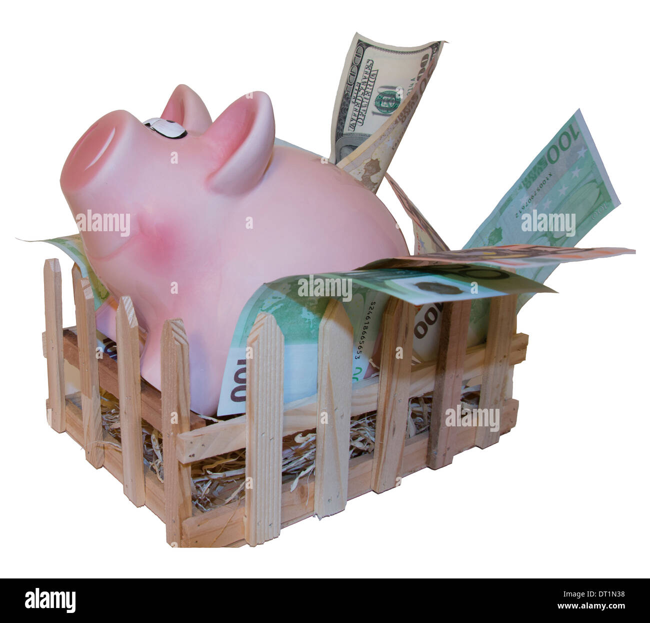 Claustrophobic Piggy bank leaving pigpen on a white background Stock Photo