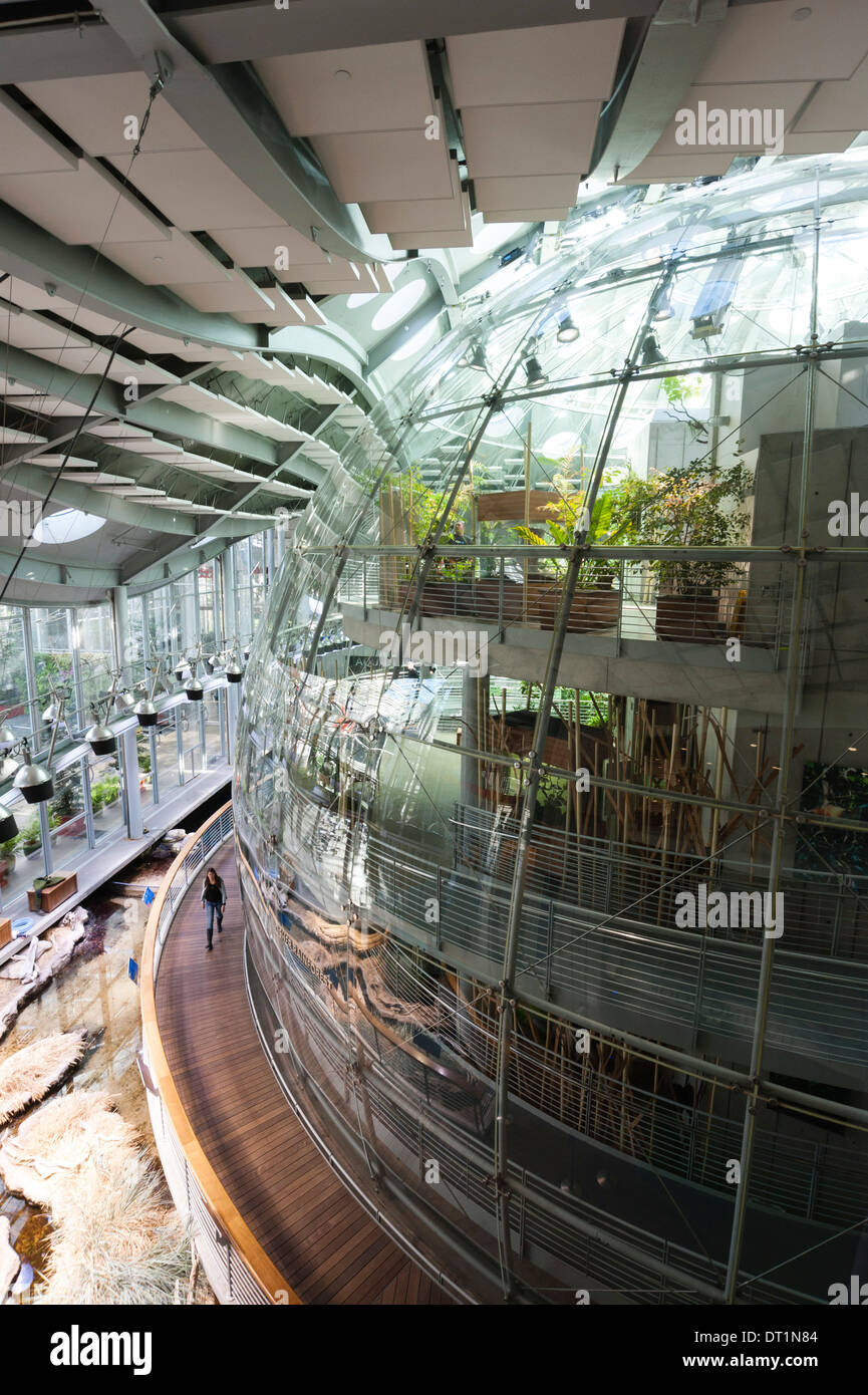 California Academy of Sciences, Golden Gate Park, San Francisco, California, United States of