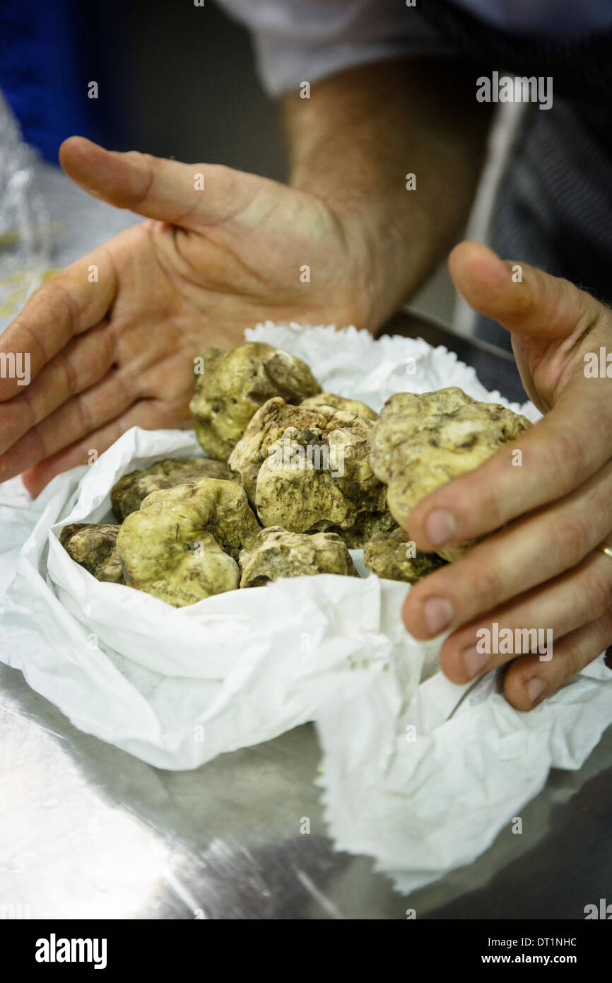 White truffles at Osteria dell'Arco restaurant, part of the slow food movement, Alba, Piedmont, Italy, Europe Stock Photo
