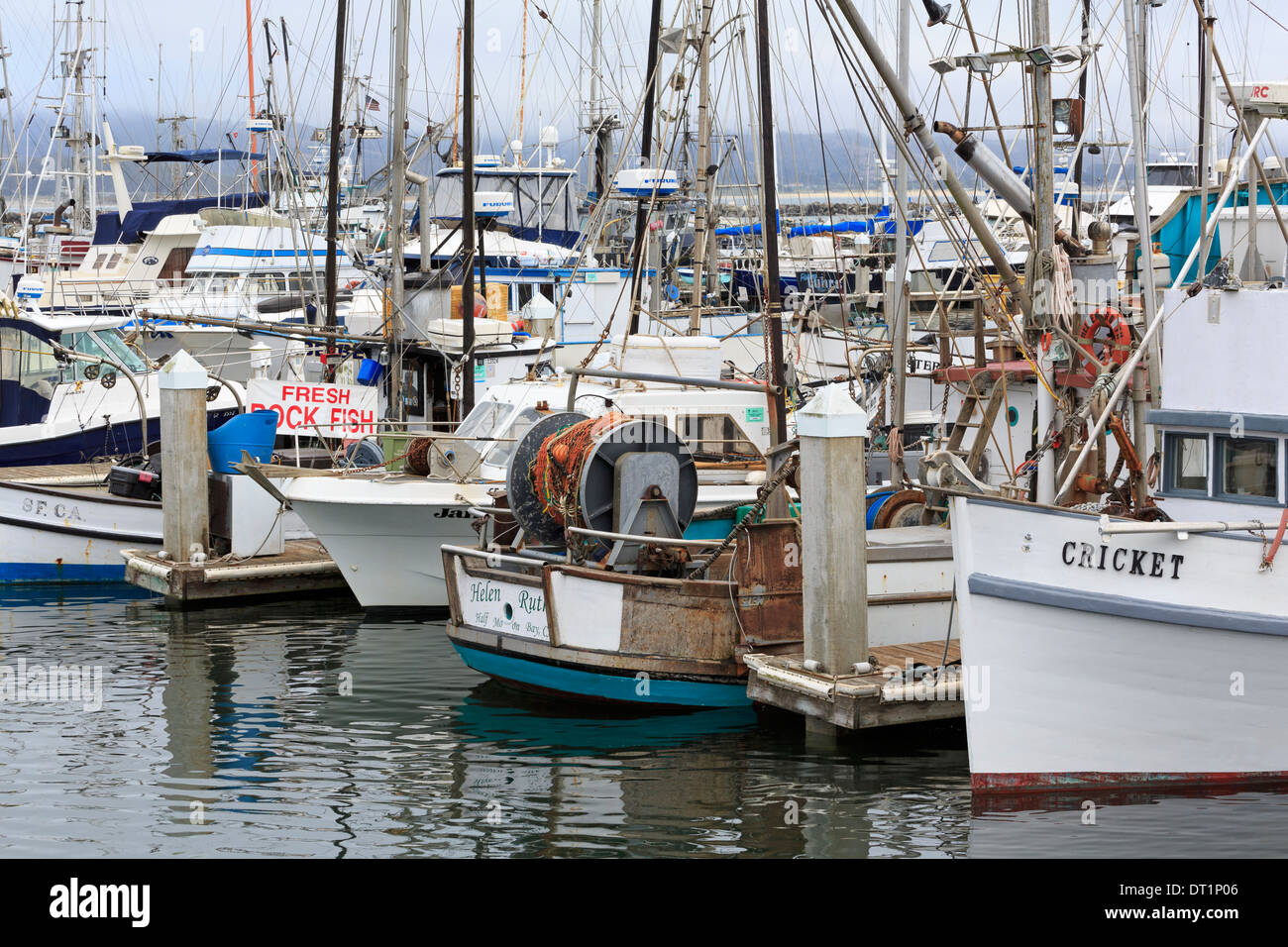 Marina in Pillar Point Harbor, Half Moon Bay, California, United States