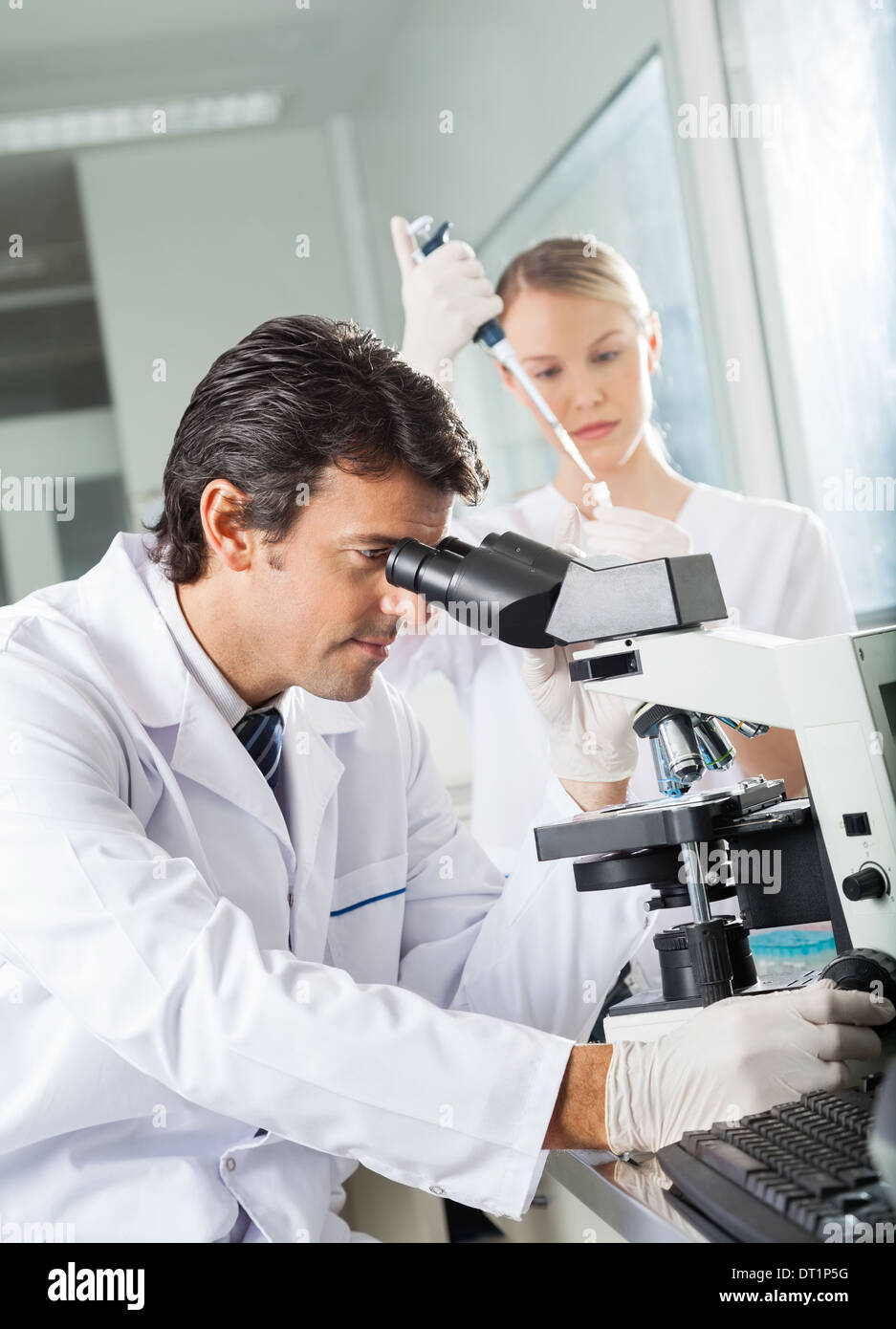 Male Scientist Using Microscope In Lab Stock Photo - Alamy