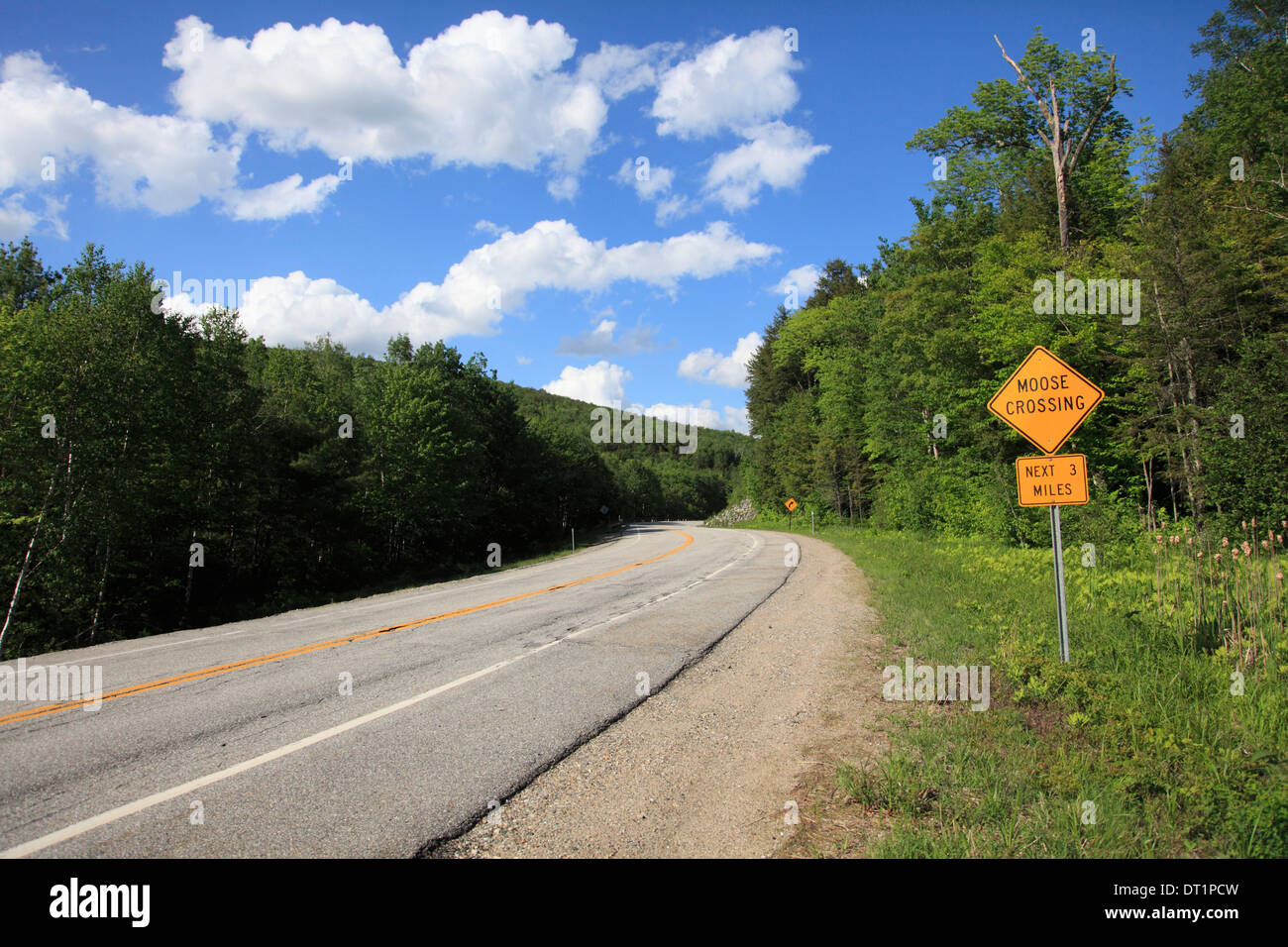 Moose Crossing Sign, White Mountain National Forest, New Hampshire, New
