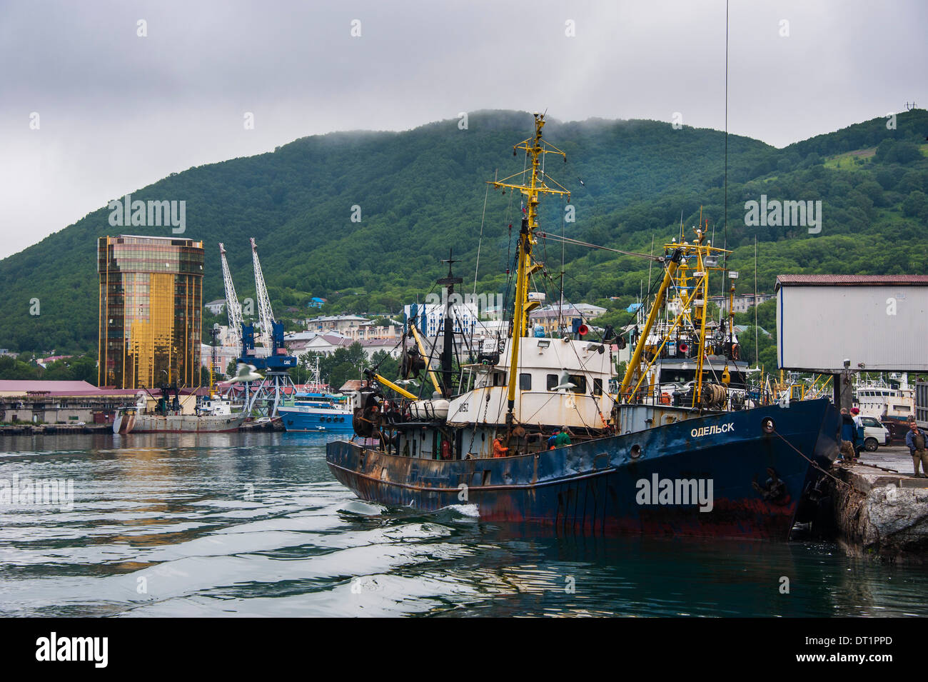 Fishing trawlers in the habour of Petropavlovsk-Kamchatsky, Kamchatka, Russia, Eurasia Stock Photo