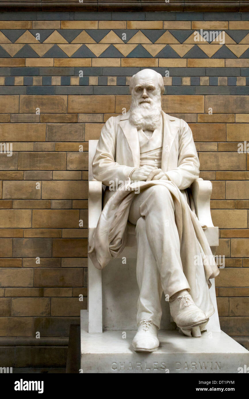 Statue of charles darwin hires stock photography and images Alamy