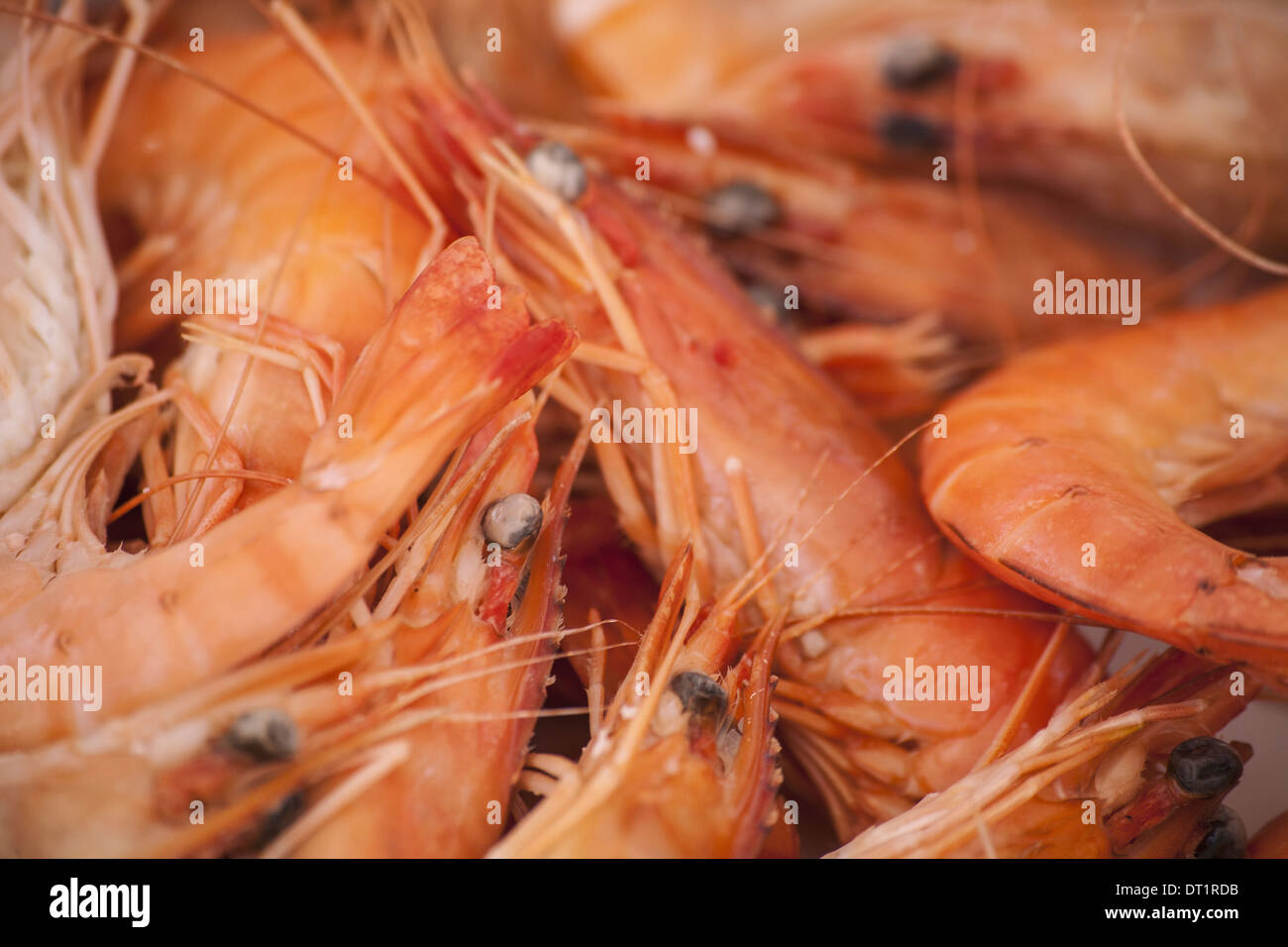 A dish of freshly cooked prawns with shells heads and tails on Seafood ...