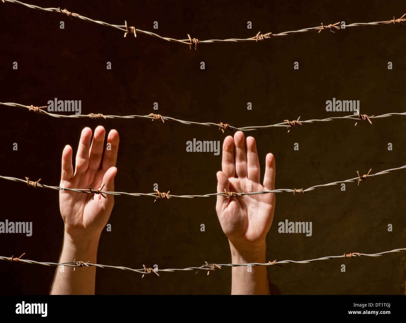 hand behind barbed wire with dark background Stock Photo