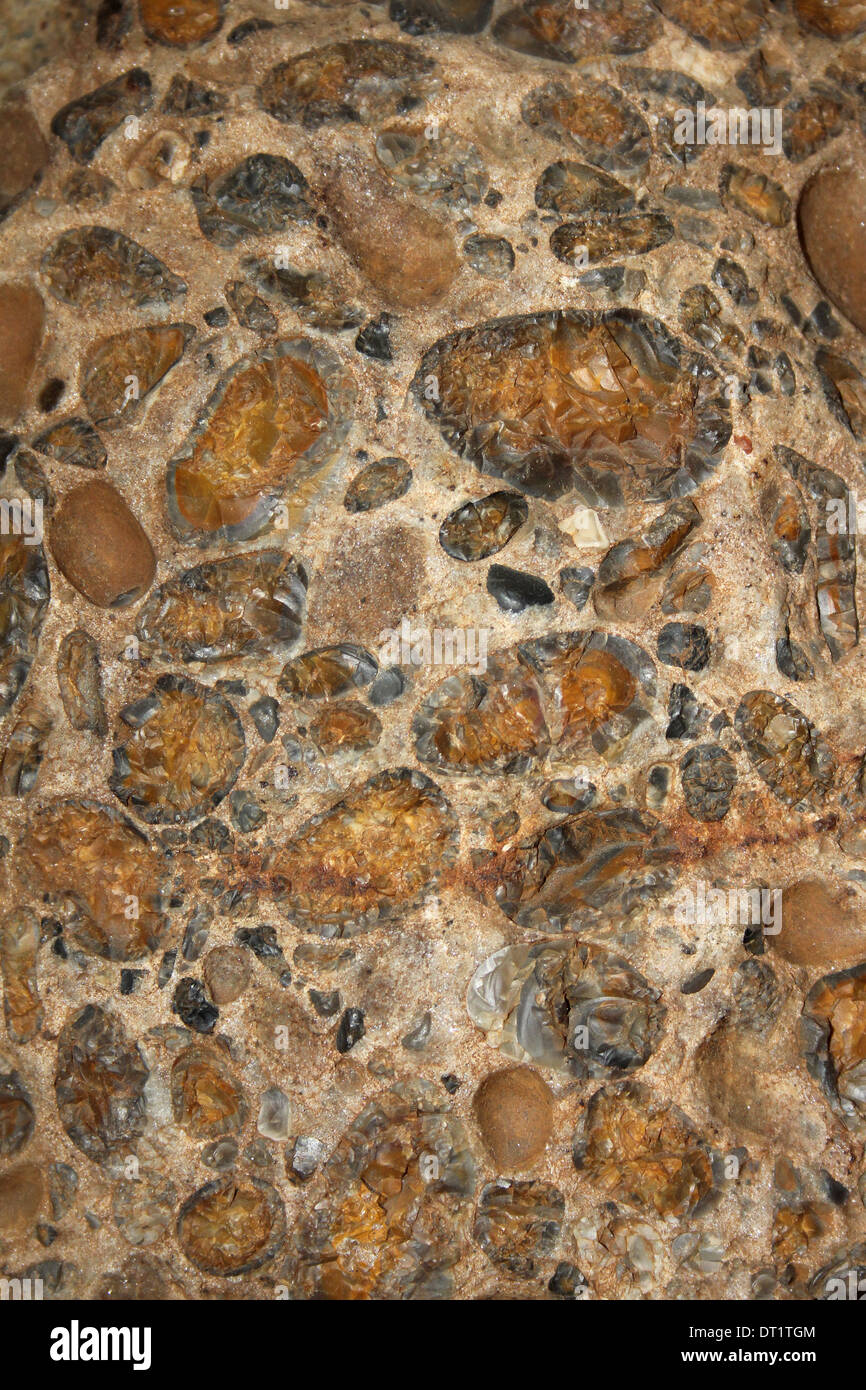 Hertfordshire Puddingstone - a conglomerate sedimentary rock Stock Photo