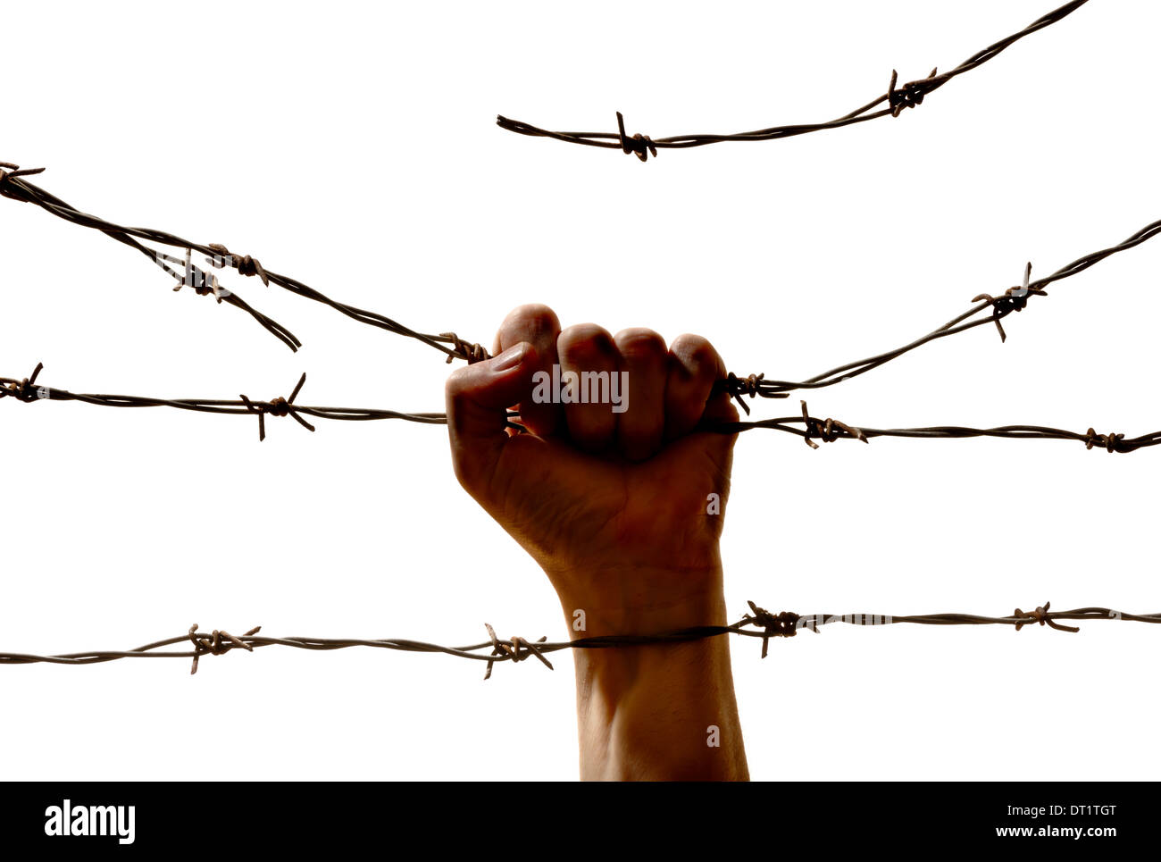 hand behind barbed wire on the white background Stock Photo