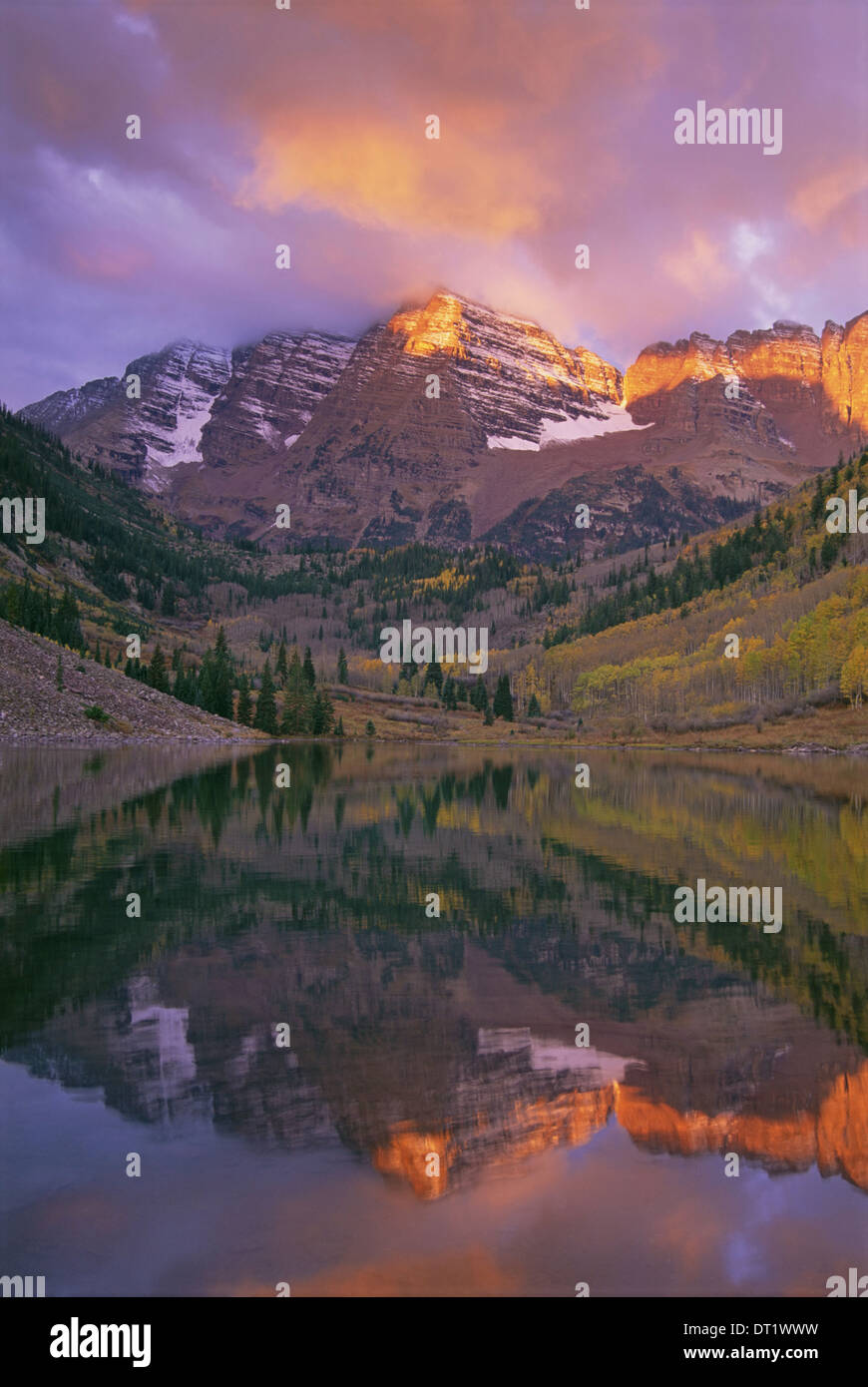 The Maroon Bells Peak Forest in Colorado Stock Photo