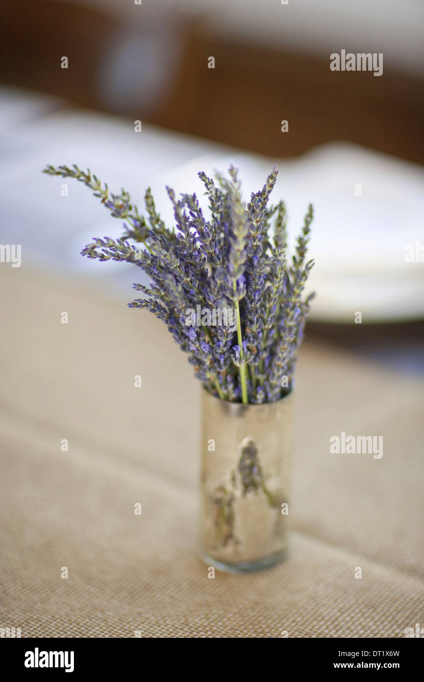 A small pot with fresh lavender flowers on a table top Stock Photo