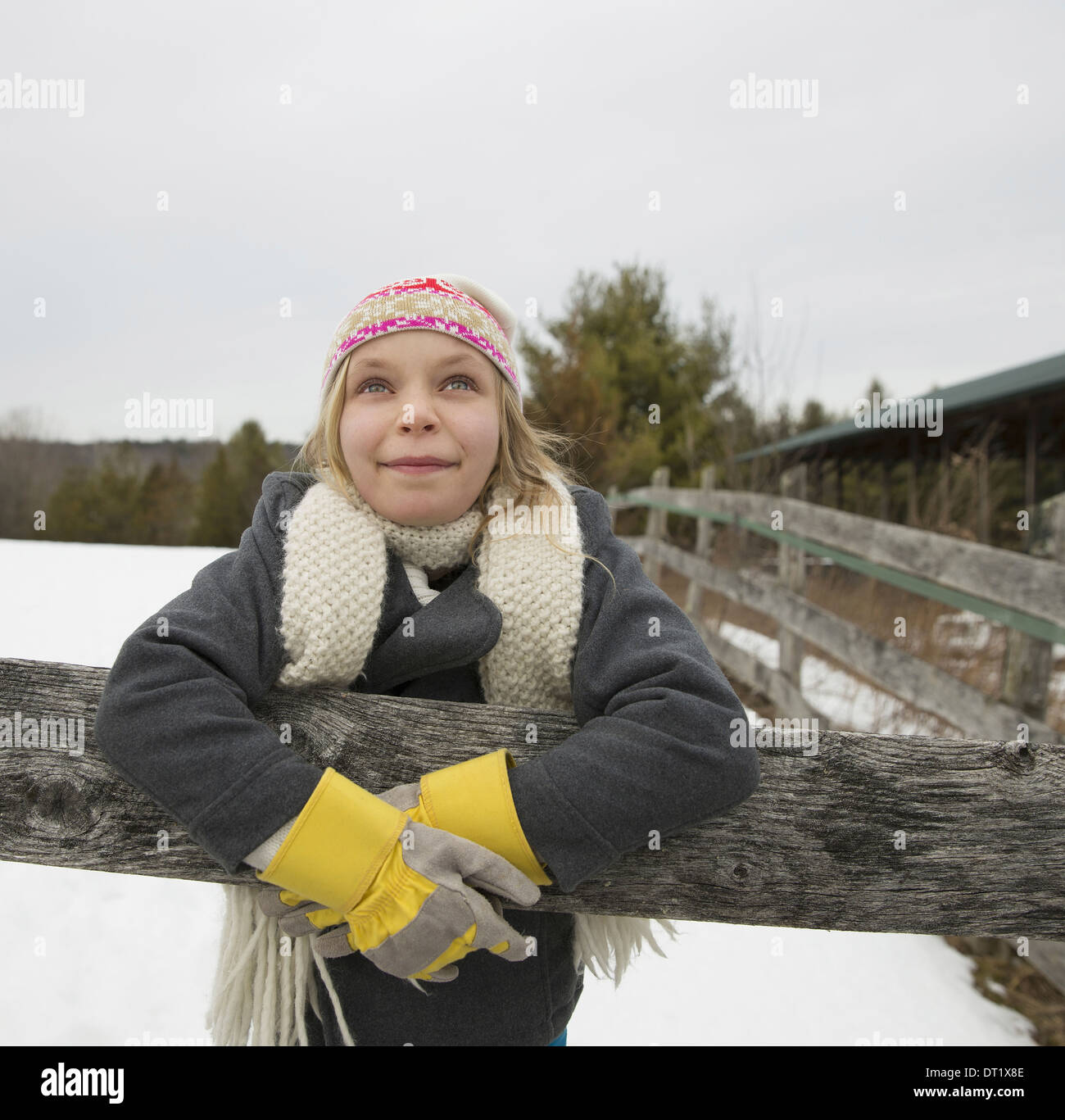 Maple Syrup Farm Stock Photo Alamy