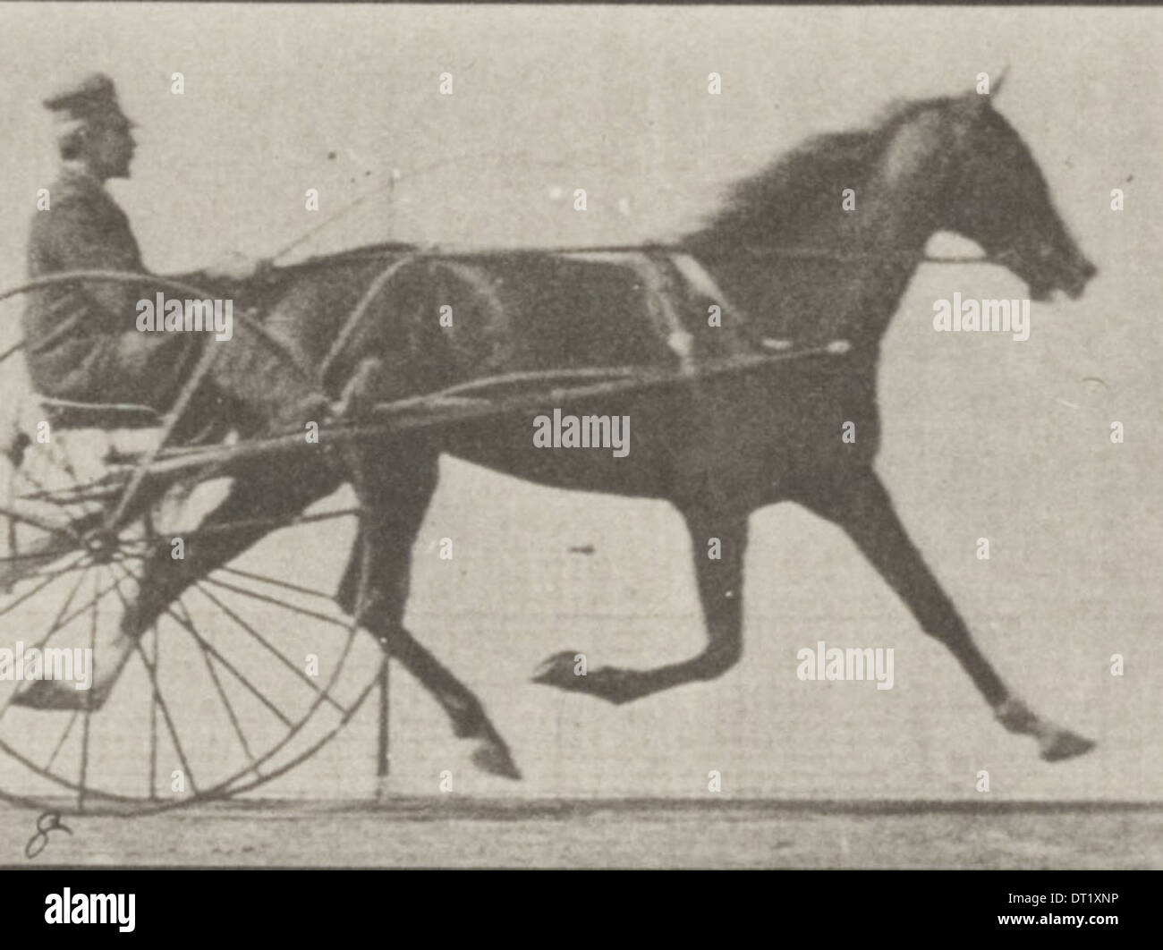 Early 1900s horse racing hi-res stock photography and images - Alamy
