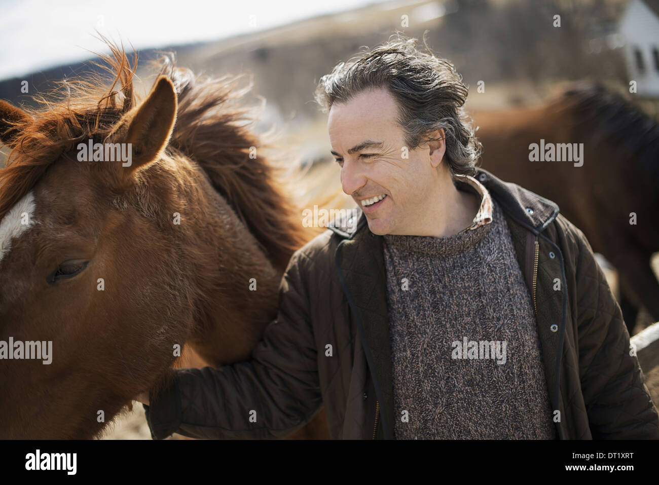 A man fixing a post and rail fence around a horse paddock Stock Photo