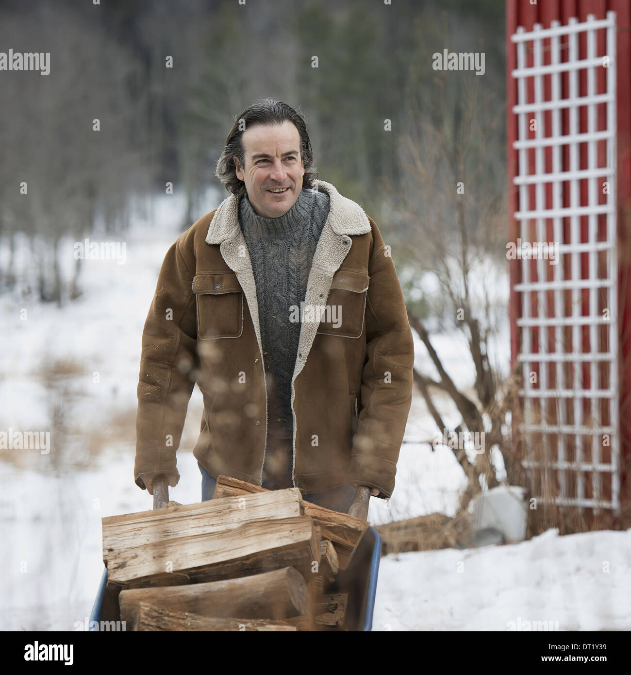 An organic farm in winter in New York State USA A man wheeling a barrow of firewood Stock Photo