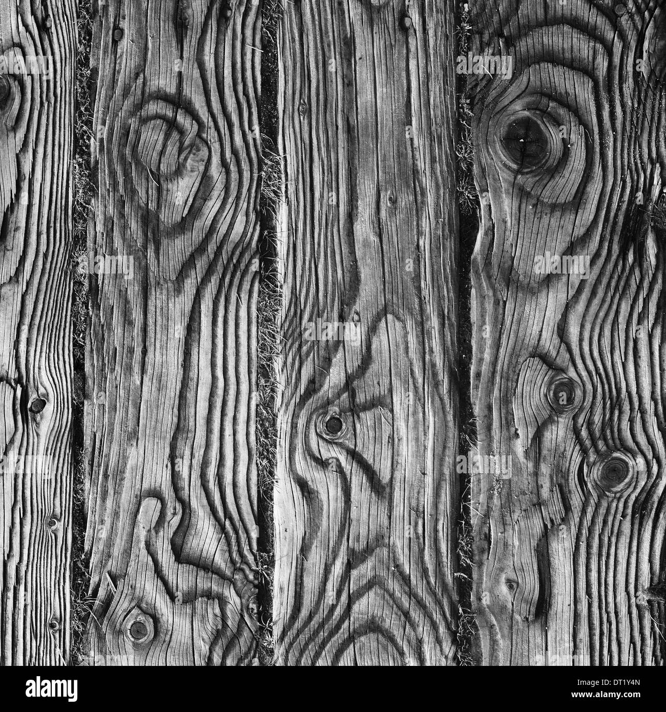The pattern of grain in the wooden planks of a board walk. Stock Photo