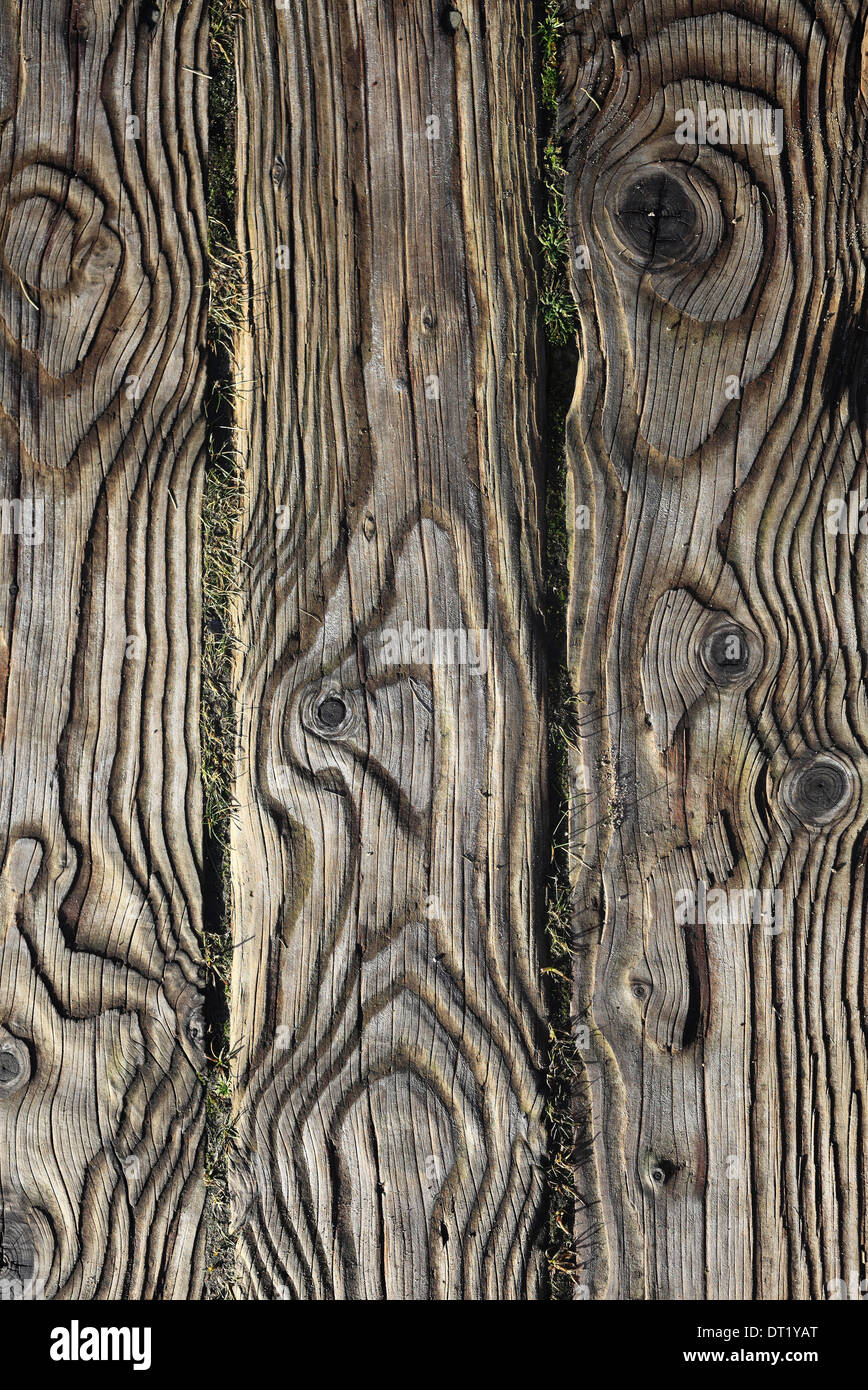 The pattern of grain in the wooden planks of a board walk. Stock Photo