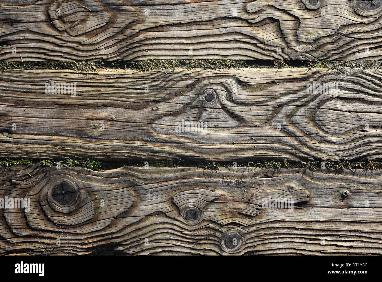 The pattern of grain in the wooden planks of a board walk. Stock Photo