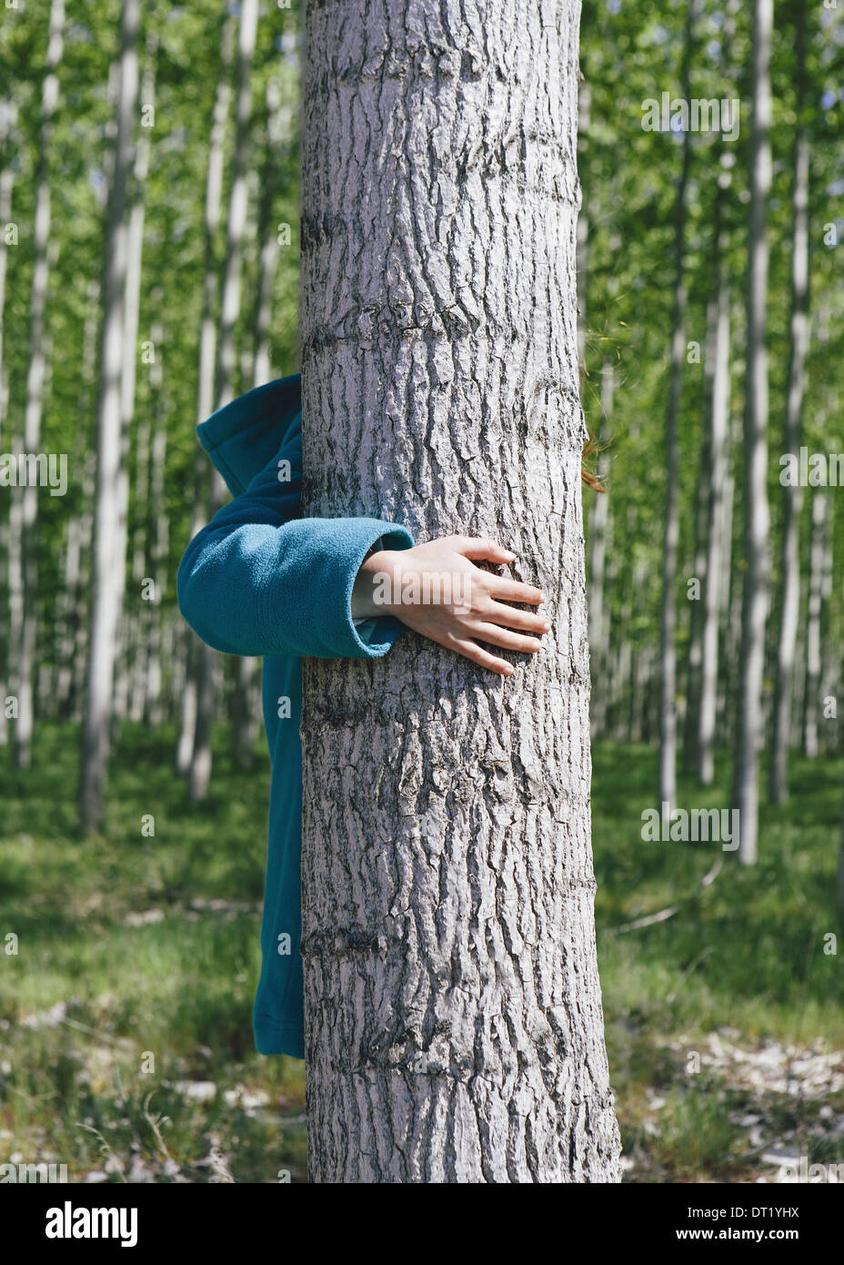 Ten year old girl standing behind commercially grown poplar tree on large tree farm near Pendleton Stock Photo