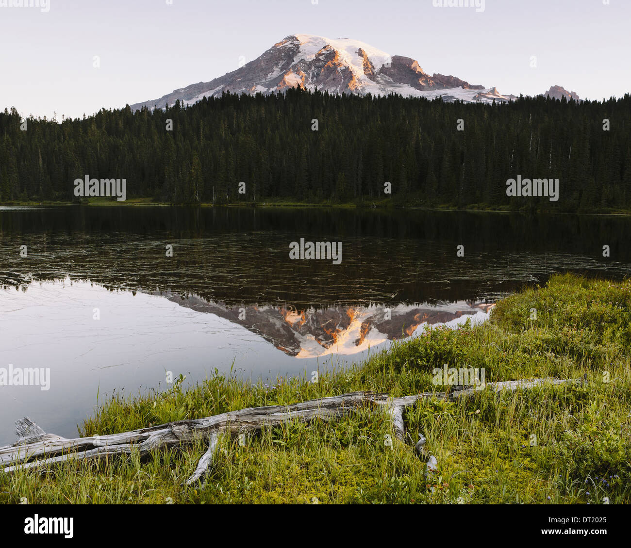 View of Mount Rainier from Reflection Lakes at dawn in Mount Rainier national park Stock Photo
