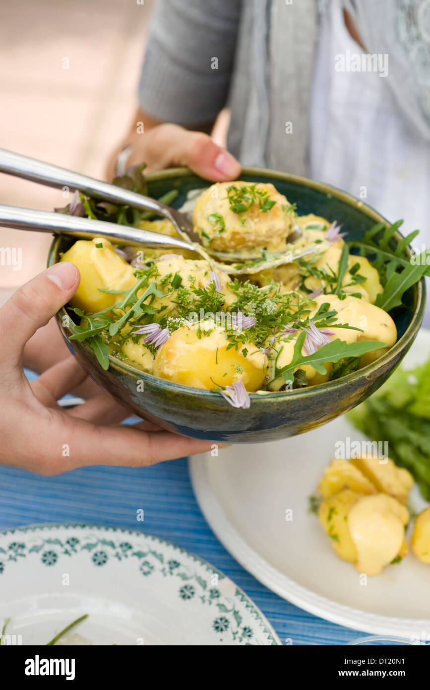 New potatoes with mustard sauce Stock Photo