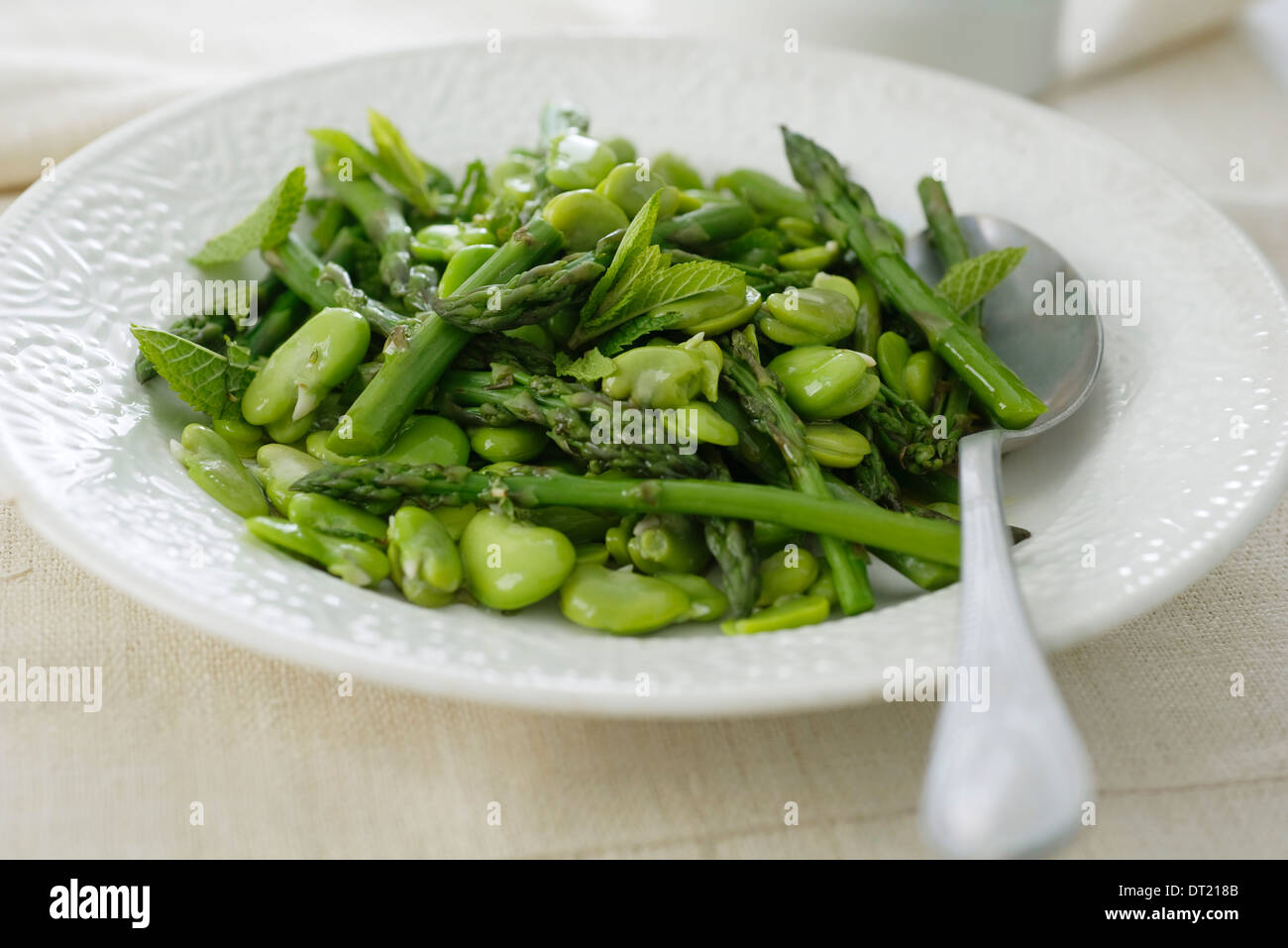 Beans and asparagus with mint Stock Photo