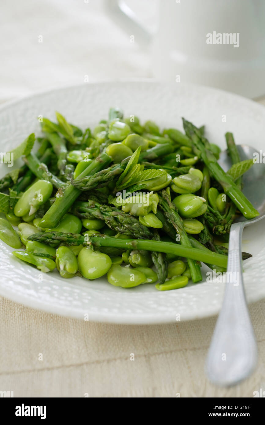 Beans and asparagus with mint Stock Photo